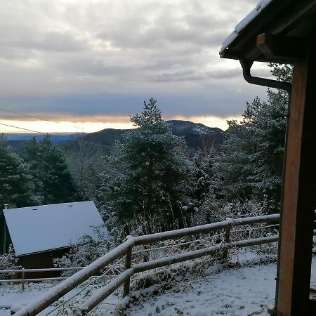 Vehinat de Freixanet Les Marmotes Camprodon 빌라 외부 사진